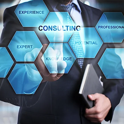 IT Project Management